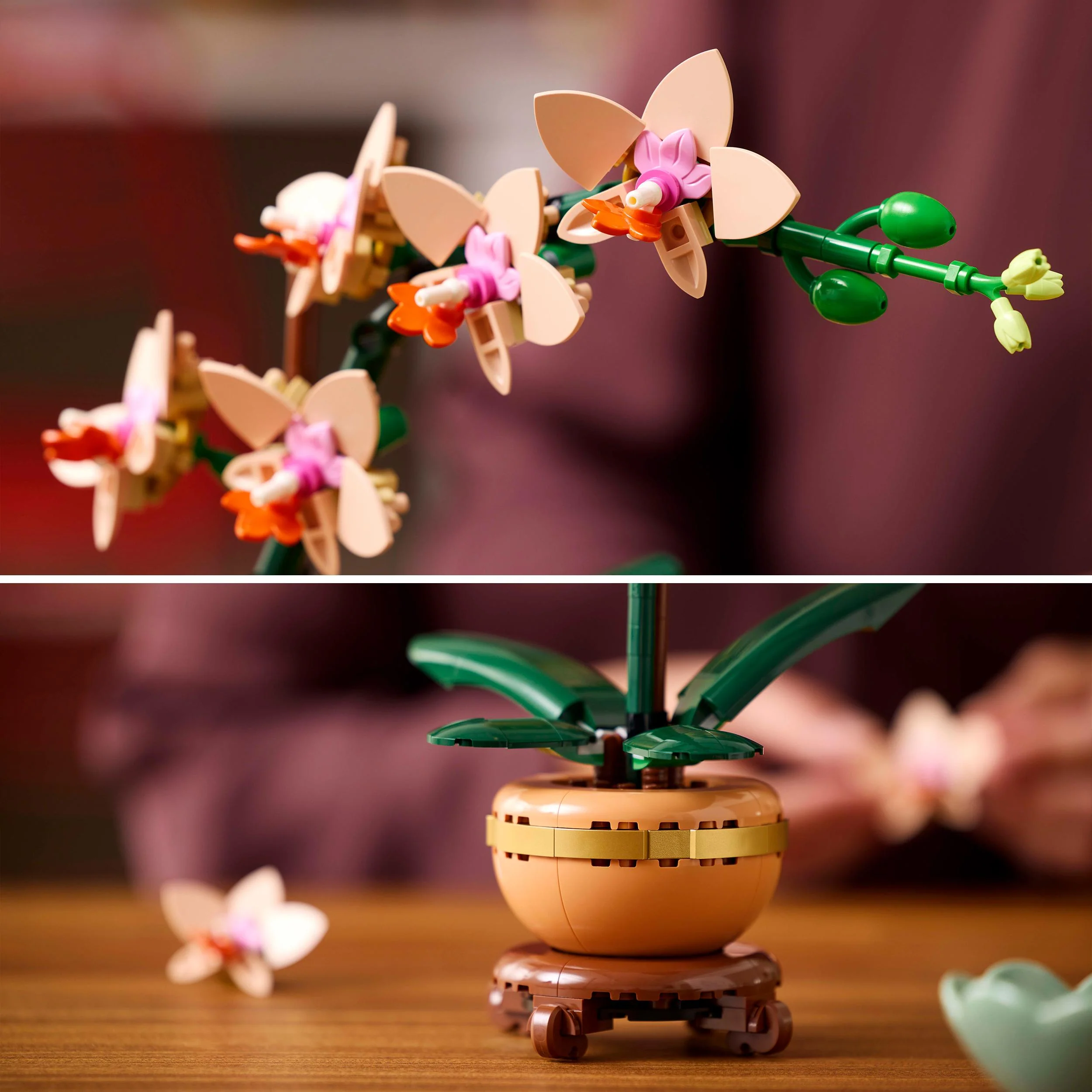 LEGO 10343 Botanicals Mini Orchid - Image 3