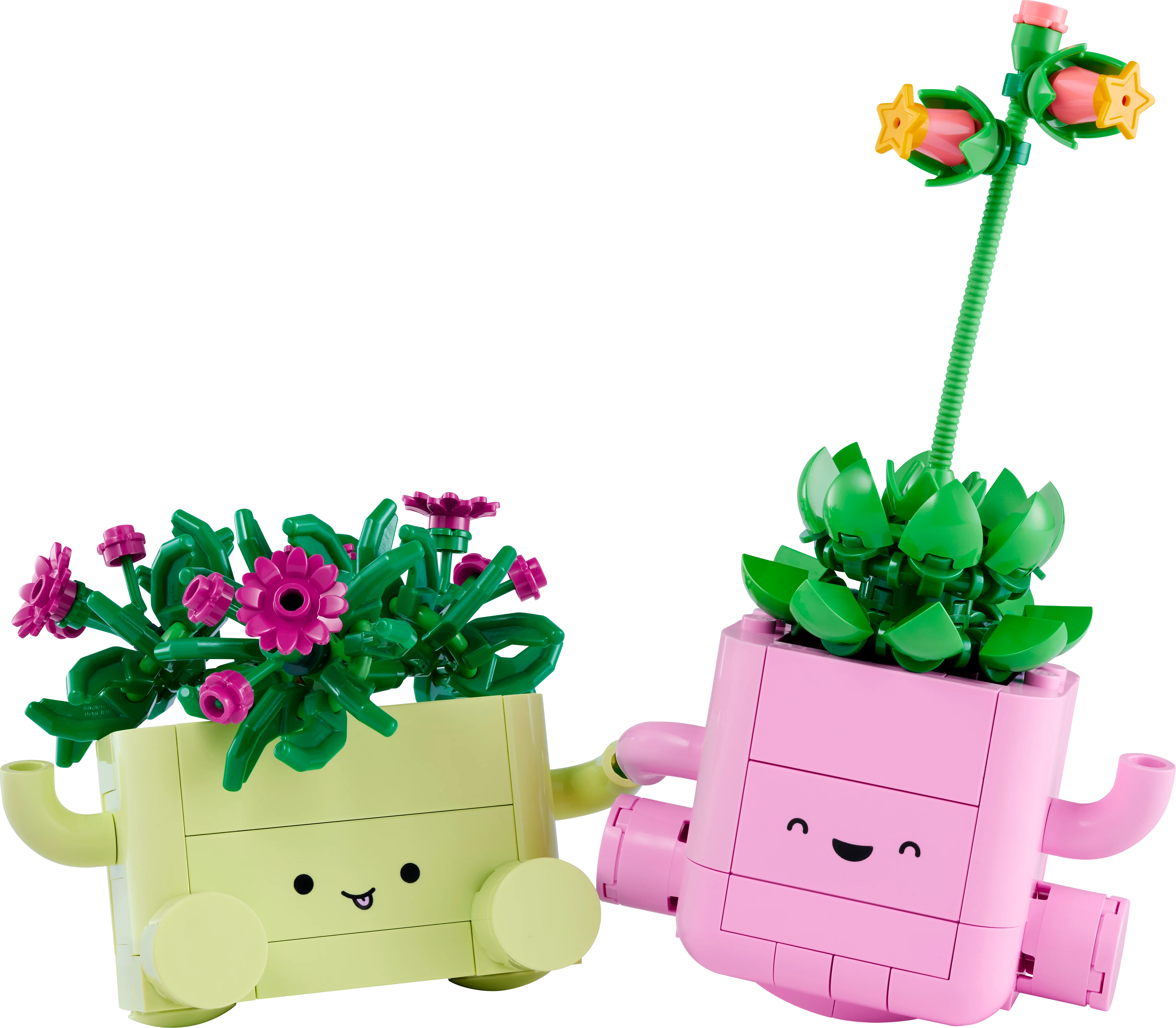 LEGO 11506 Botanicals Rocking Plants - Image 5