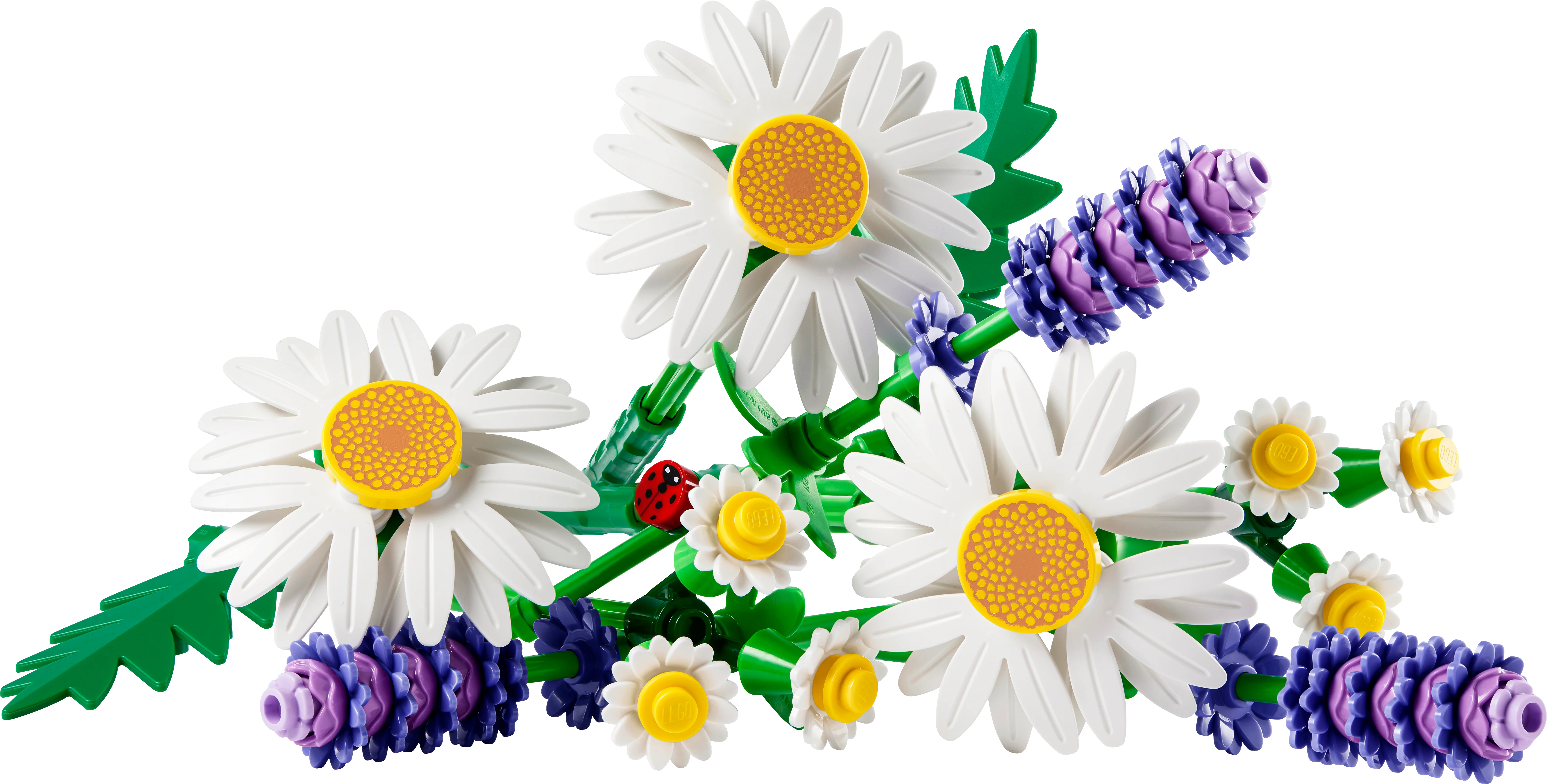 LEGO 11508 Botanicals Daisies - Image 3